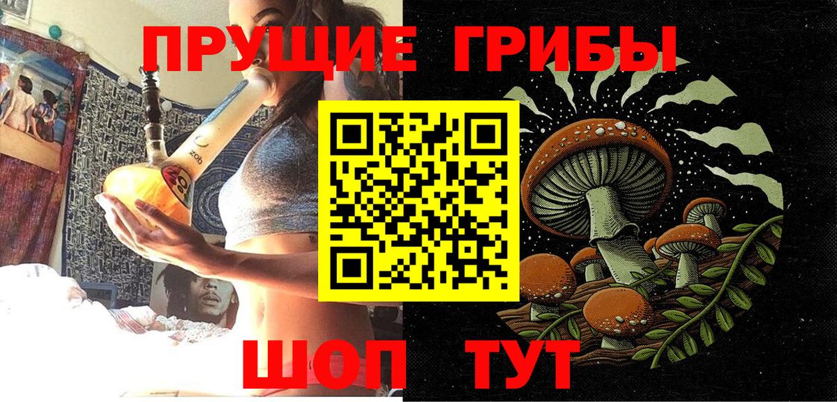 Галлюциногенные грибы Psilocybe  Вход с VPN  Миллерово  Галлюциногенные грибы мухоморы 